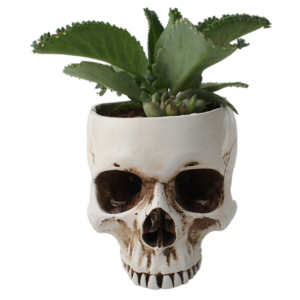 Skeleton Desktop Flower Pot Creative Home Horticulture Breathable Flower Pot