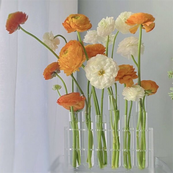 Cute Bracket Acrylic Glass Test Tube Vase Set for Stunning Floral Displays