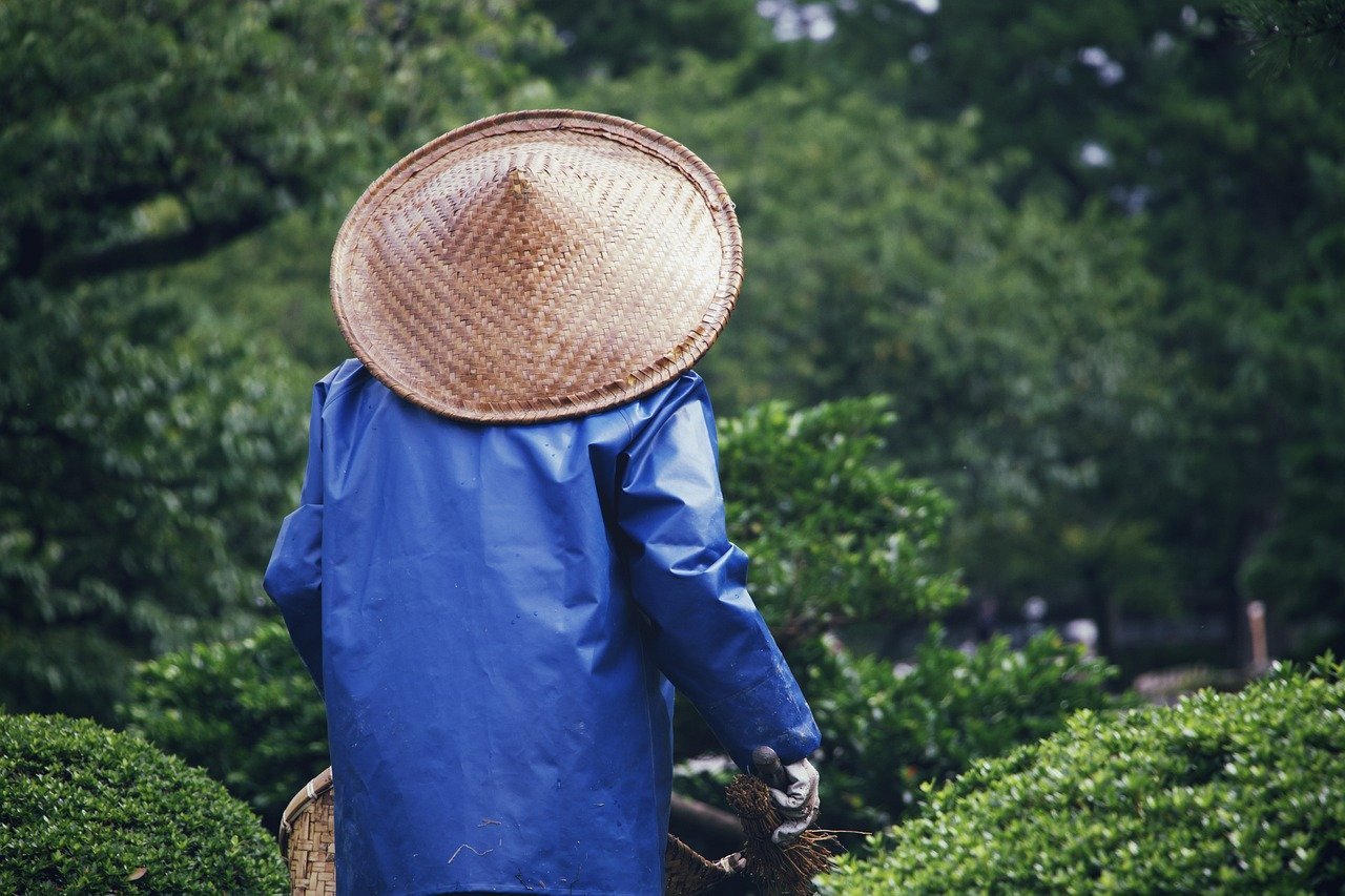 Edible Landscaping: Transforming Your Garden into a Food Paradise