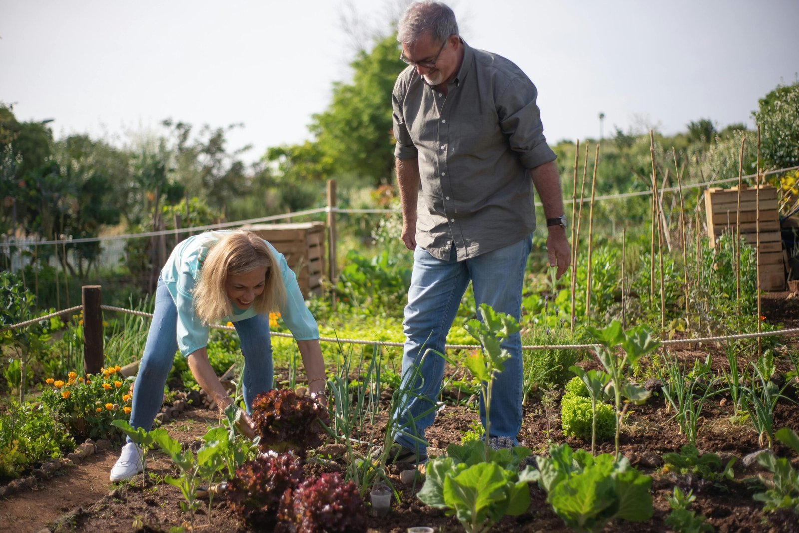 The Benefits of Companion Planting: Nature’s Best Friends